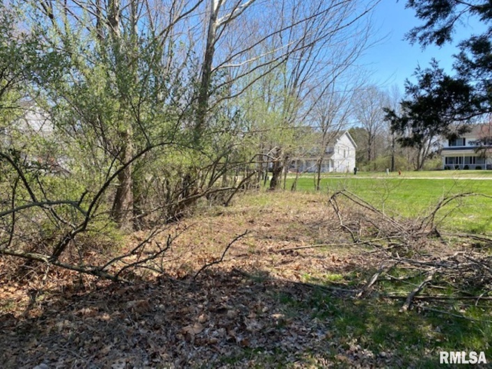 Lot 56 Deer Lake Drive, Carbondale, Illinois 62901, 0 , 0 ,0,Land,For Sale,Deer Lake,0,RMAEB443780