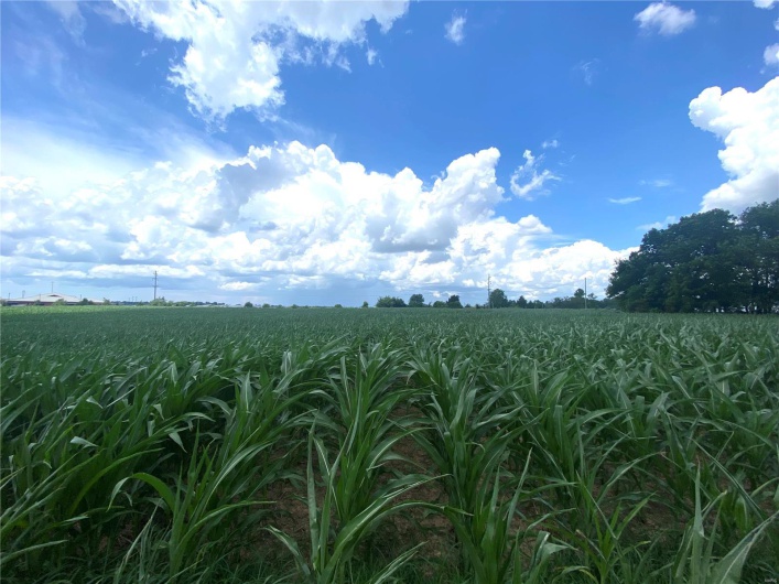 0 Highway 51, Perryville, Missouri 63775, ,Commercial Sale,For Sale,Highway 51,MAR21045636