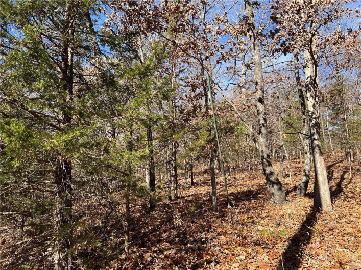 1 Rue Cheryl, Bonne Terre, Missouri 63628, ,Land,For Sale,Rue Cheryl,MAR23067376