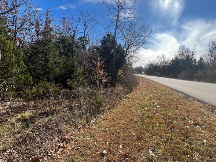 0 Rue Riviera, Bonne Terre, Missouri 63628, ,Land,For Sale,Rue Riviera,MAR23067374
