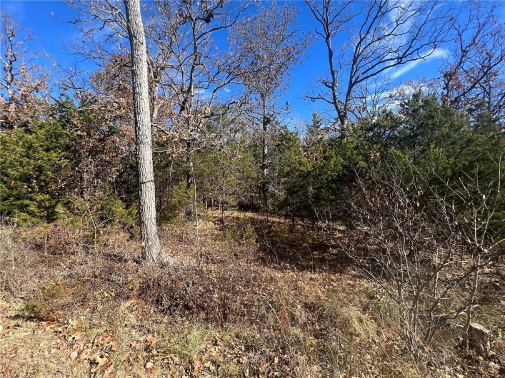 0 Rue Riviera, Bonne Terre, Missouri 63628, ,Land,For Sale,Rue Riviera,MAR23067374