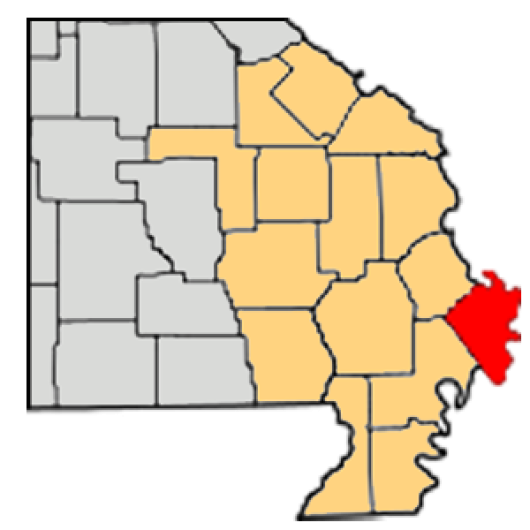63845 Houses FOR SALE by Tracey Miller 63845 Realtor Near Me Vylla Home #573RealEstate #LIVELocalListings