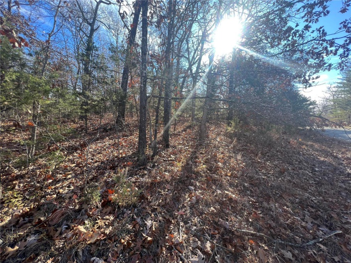 0 Amy Court, Bonne Terre, Missouri 63628, ,Land,For Sale,Amy,MAR23067165