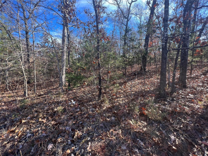 0 Amy Court, Bonne Terre, Missouri 63628, ,Land,For Sale,Amy,MAR23067165