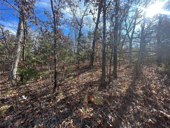 0 Amy Court, Bonne Terre, Missouri 63628, ,Land,For Sale,Amy,MAR23067165
