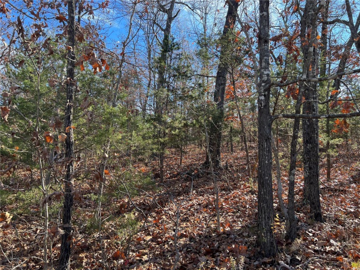0 Amy Court, Bonne Terre, Missouri 63628, ,Land,For Sale,Amy,MAR23067165