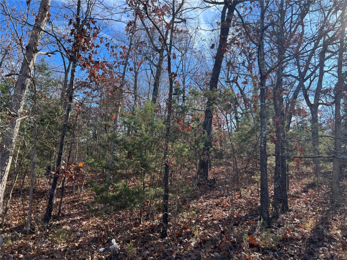 0 Amy Court, Bonne Terre, Missouri 63628, ,Land,For Sale,Amy,MAR23067165