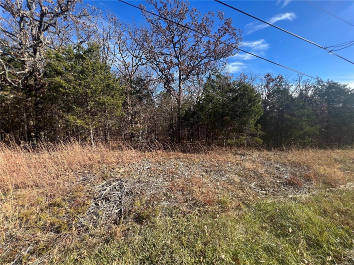 2 Napoleon Drive, Bonne Terre, Missouri 63628, ,Land,For Sale,Napoleon,MAR23067156