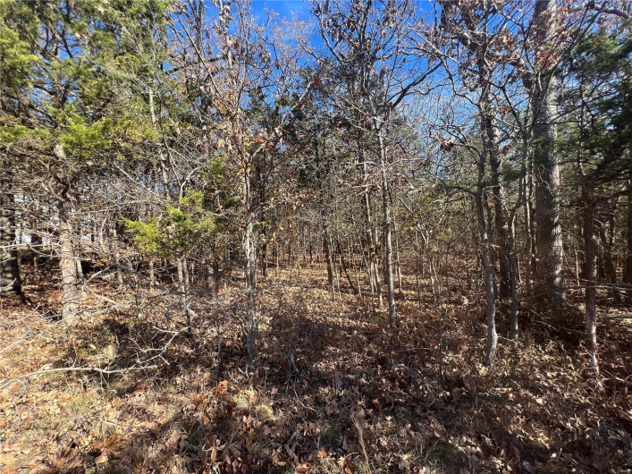 2 Napoleon Drive, Bonne Terre, Missouri 63628, ,Land,For Sale,Napoleon,MAR23067156