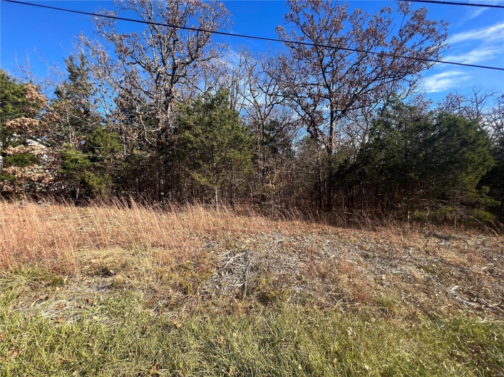 2 Napoleon Drive, Bonne Terre, Missouri 63628, ,Land,For Sale,Napoleon,MAR23067156