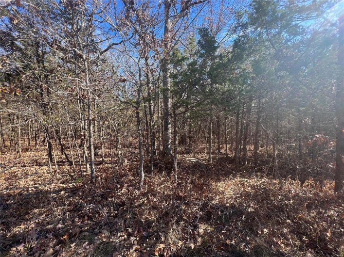 2 Napoleon Drive, Bonne Terre, Missouri 63628, ,Land,For Sale,Napoleon,MAR23067156
