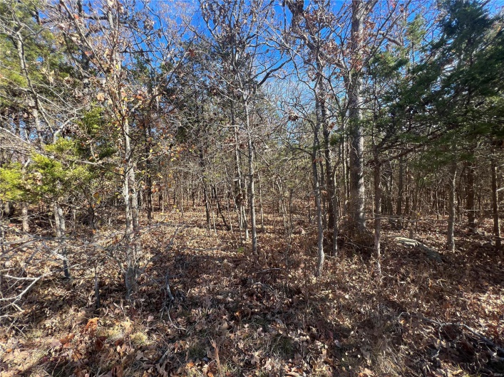 2 Napoleon Drive, Bonne Terre, Missouri 63628, ,Land,For Sale,Napoleon,MAR23067156