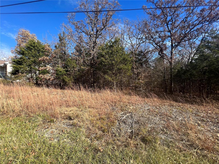 2 Napoleon Drive, Bonne Terre, Missouri 63628, ,Land,For Sale,Napoleon,MAR23067156