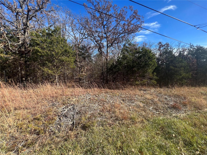 2 Napoleon Drive, Bonne Terre, Missouri 63628, ,Land,For Sale,Napoleon,MAR23067156