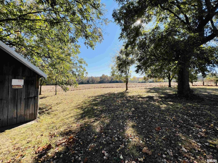 17064 Old Frankfort Road, Johnston City, Illinois 62951, 5 Bedrooms Bedrooms, 0 ,2 BathroomsBathrooms,Residential,For Sale,Old Frankfort,0,RMAEB451336