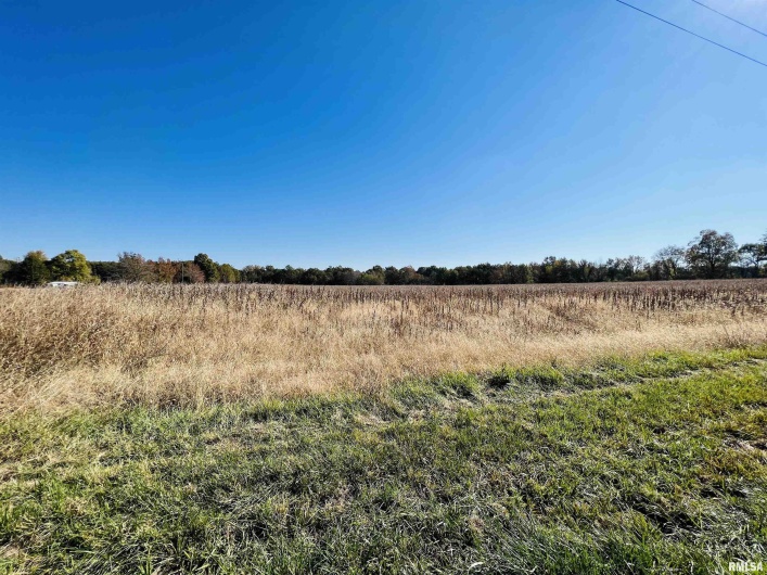 17064 Old Frankfort Road, Johnston City, Illinois 62951, 5 Bedrooms Bedrooms, 0 ,2 BathroomsBathrooms,Residential,For Sale,Old Frankfort,0,RMAEB451336
