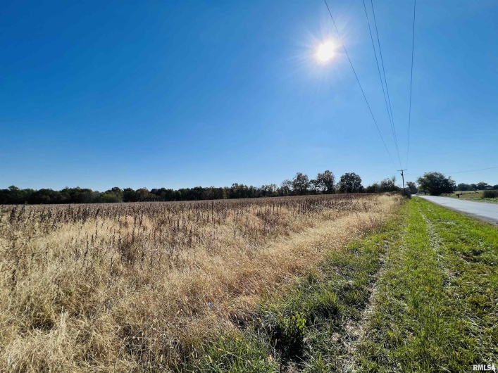 17064 Old Frankfort Road, Johnston City, Illinois 62951, 5 Bedrooms Bedrooms, 0 ,2 BathroomsBathrooms,Residential,For Sale,Old Frankfort,0,RMAEB451336