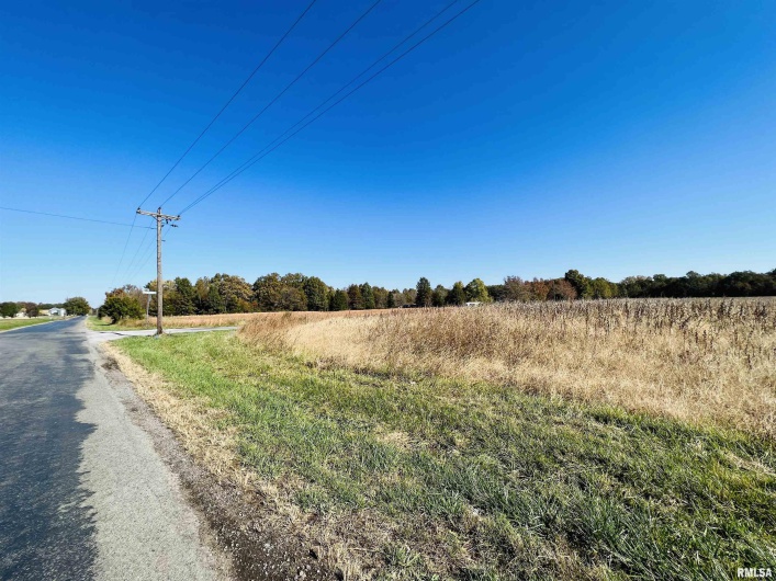 17064 Old Frankfort Road, Johnston City, Illinois 62951, 5 Bedrooms Bedrooms, 0 ,2 BathroomsBathrooms,Residential,For Sale,Old Frankfort,0,RMAEB451336