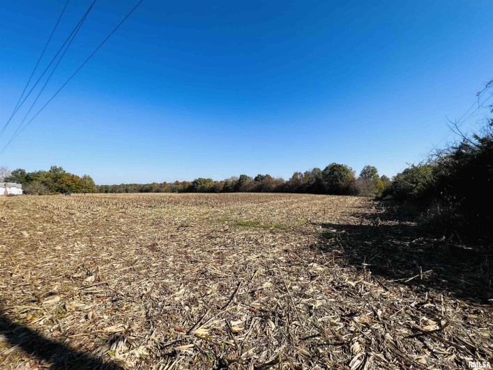 17064 Old Frankfort Road, Johnston City, Illinois 62951, 5 Bedrooms Bedrooms, 0 ,2 BathroomsBathrooms,Residential,For Sale,Old Frankfort,0,RMAEB451336