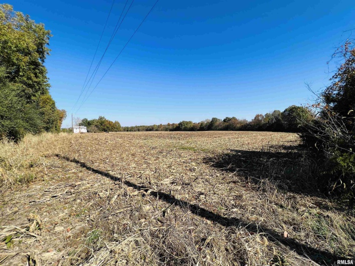 17064 Old Frankfort Road, Johnston City, Illinois 62951, 5 Bedrooms Bedrooms, 0 ,2 BathroomsBathrooms,Residential,For Sale,Old Frankfort,0,RMAEB451336