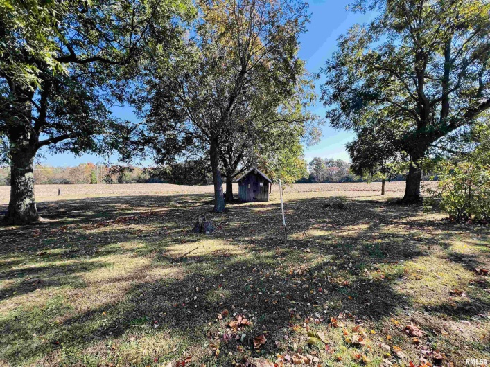 17064 Old Frankfort Road, Johnston City, Illinois 62951, 5 Bedrooms Bedrooms, 0 ,2 BathroomsBathrooms,Residential,For Sale,Old Frankfort,0,RMAEB451336