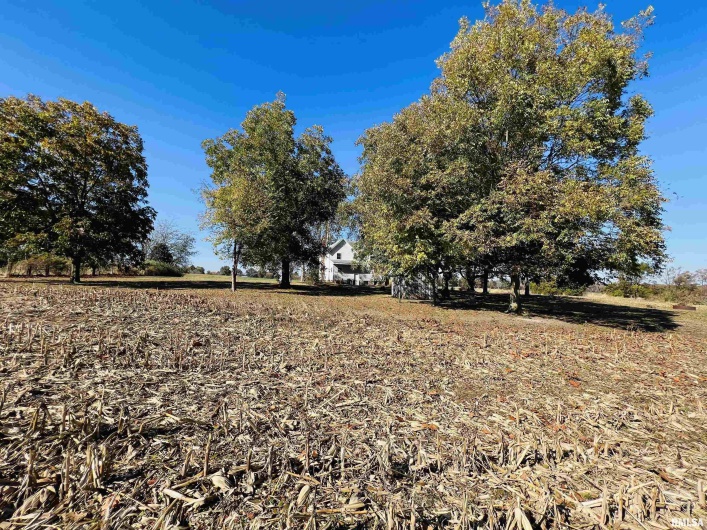 17064 Old Frankfort Road, Johnston City, Illinois 62951, 5 Bedrooms Bedrooms, 0 ,2 BathroomsBathrooms,Residential,For Sale,Old Frankfort,0,RMAEB451336