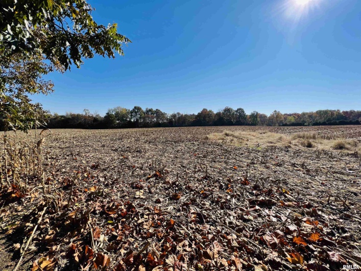 17064 Old Frankfort Road, Johnston City, Illinois 62951, 5 Bedrooms Bedrooms, 0 ,2 BathroomsBathrooms,Residential,For Sale,Old Frankfort,0,RMAEB451336