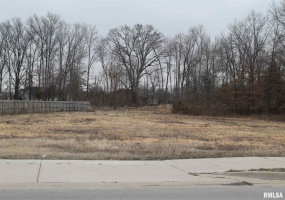 0005 FRONTAGE Road, Crainville, Illinois 62918, 0 , 0 ,0,Land,For Sale,FRONTAGE,0,RMAEB432849