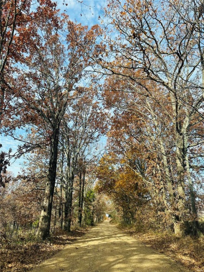 0 BCR 807, Glen Allen, Missouri 63751, ,Farm,For Sale,BCR 807,MAR23073029