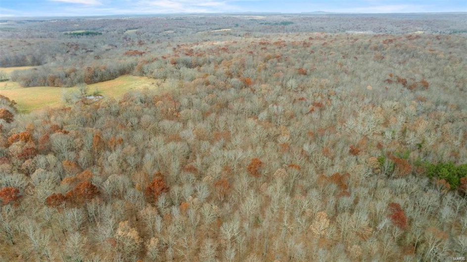 0 BCR 807, Glen Allen, Missouri 63751, ,Farm,For Sale,BCR 807,MAR23073029