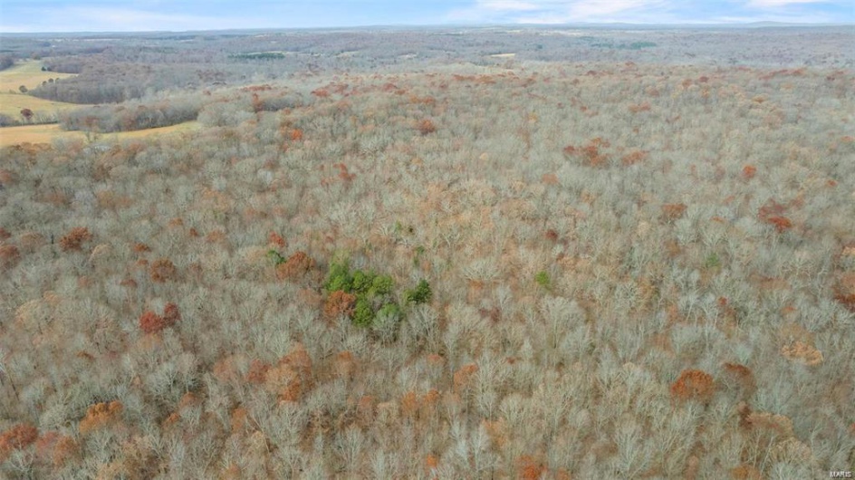 0 BCR 807, Glen Allen, Missouri 63751, ,Farm,For Sale,BCR 807,MAR23073029