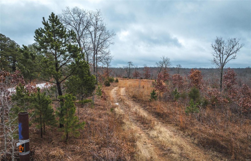 0 Ray Hicks Road Tract 2, Viburnum, Missouri 65566, ,Farm,For Sale,Ray Hicks Road Tract 2,MAR23074298