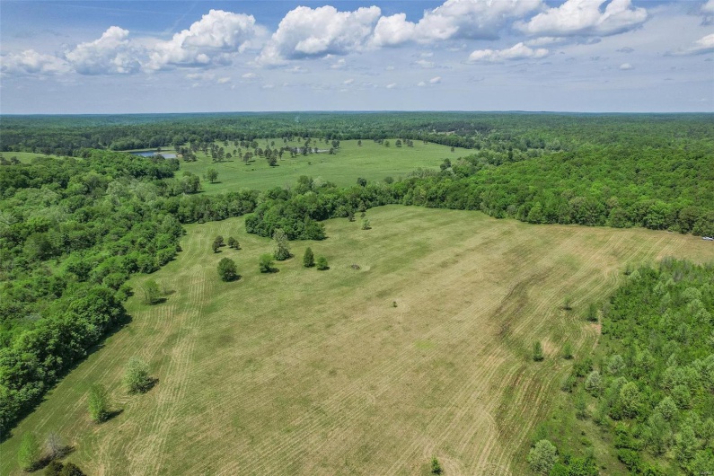 0 County Road 462, Poplar Bluff, Missouri 63901, ,Farm,For Sale,County Road 462,MAR23074231