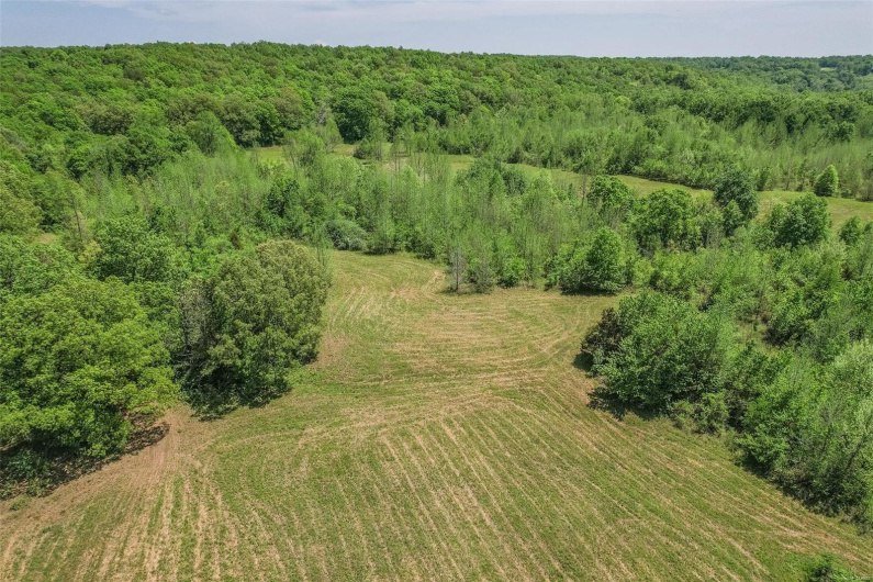 0 County Road 462, Poplar Bluff, Missouri 63901, ,Farm,For Sale,County Road 462,MAR23074231