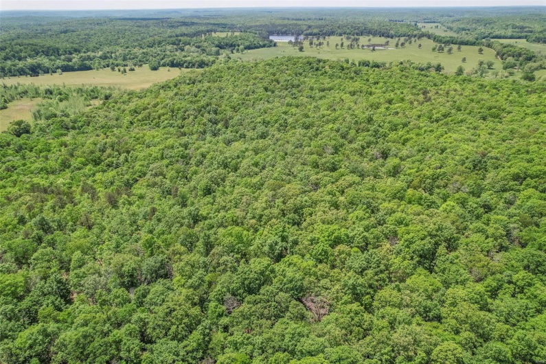 0 County Road 462, Poplar Bluff, Missouri 63901, ,Farm,For Sale,County Road 462,MAR23074231