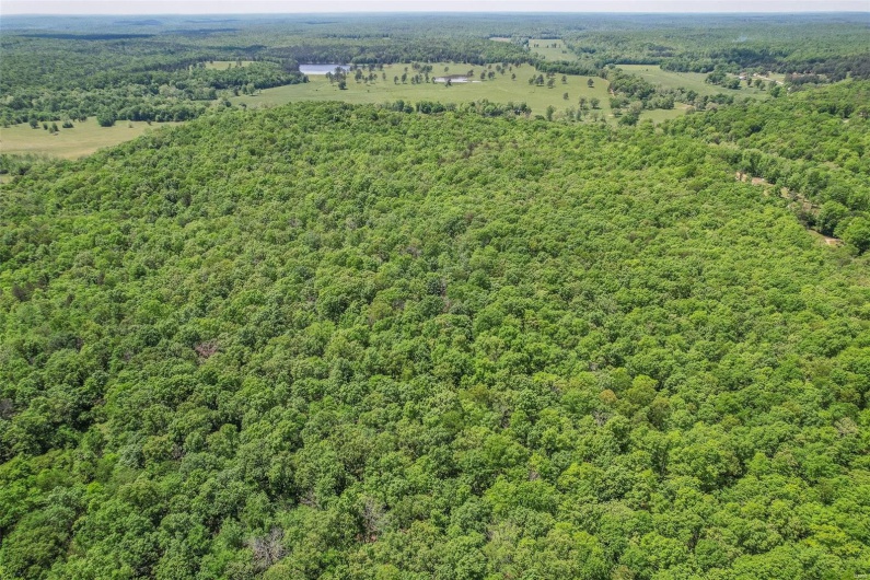 0 County Road 462, Poplar Bluff, Missouri 63901, ,Farm,For Sale,County Road 462,MAR23074231