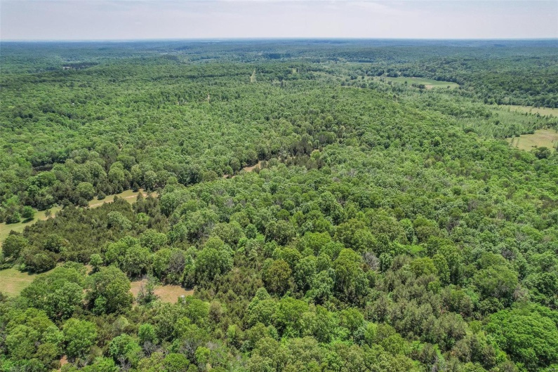 0 County Road 462, Poplar Bluff, Missouri 63901, ,Farm,For Sale,County Road 462,MAR23074231