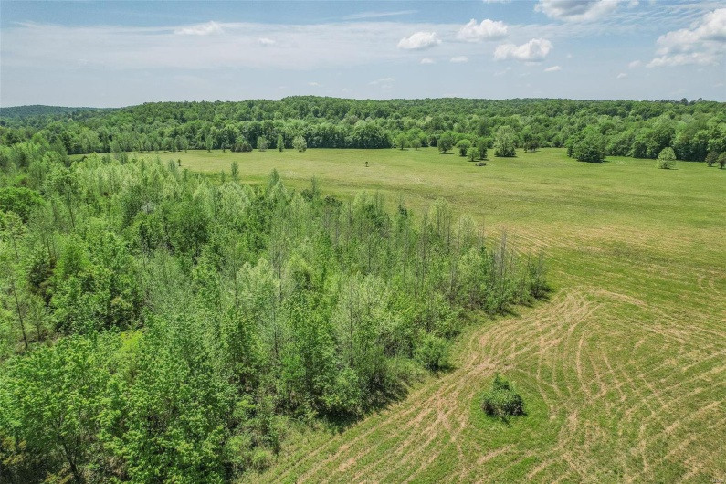 0 County Road 462, Poplar Bluff, Missouri 63901, ,Farm,For Sale,County Road 462,MAR23074231