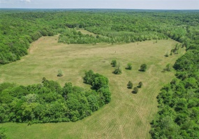 0 County Road 462, Poplar Bluff, Missouri 63901, ,Farm,For Sale,County Road 462,MAR23074231