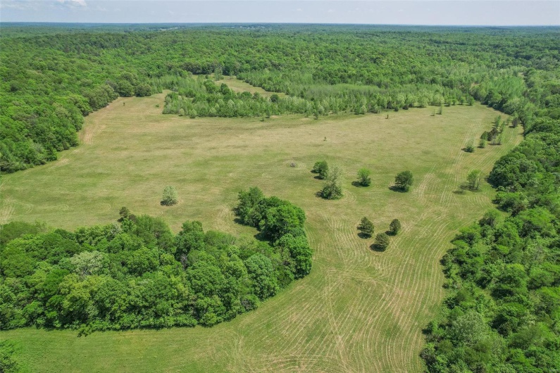 0 County Road 462, Poplar Bluff, Missouri 63901, ,Farm,For Sale,County Road 462,MAR23074231