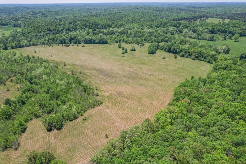 0 County Road 462, Poplar Bluff, Missouri 63901, ,Farm,For Sale,County Road 462,MAR23074231