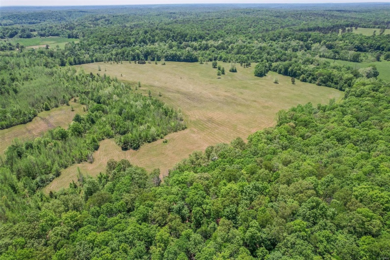 0 County Road 462, Poplar Bluff, Missouri 63901, ,Farm,For Sale,County Road 462,MAR23074231
