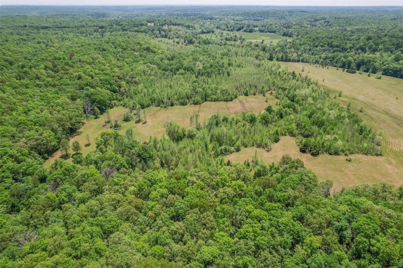 0 County Road 462, Poplar Bluff, Missouri 63901, ,Farm,For Sale,County Road 462,MAR23074231