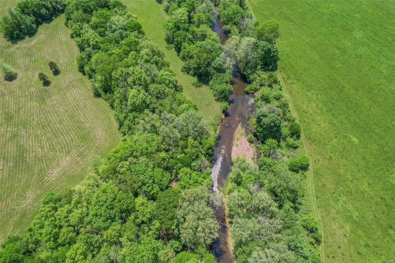 0 County Road 462, Poplar Bluff, Missouri 63901, ,Farm,For Sale,County Road 462,MAR23074231
