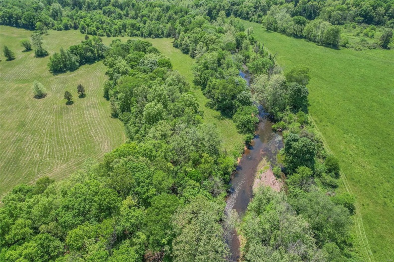 0 County Road 462, Poplar Bluff, Missouri 63901, ,Farm,For Sale,County Road 462,MAR23074231