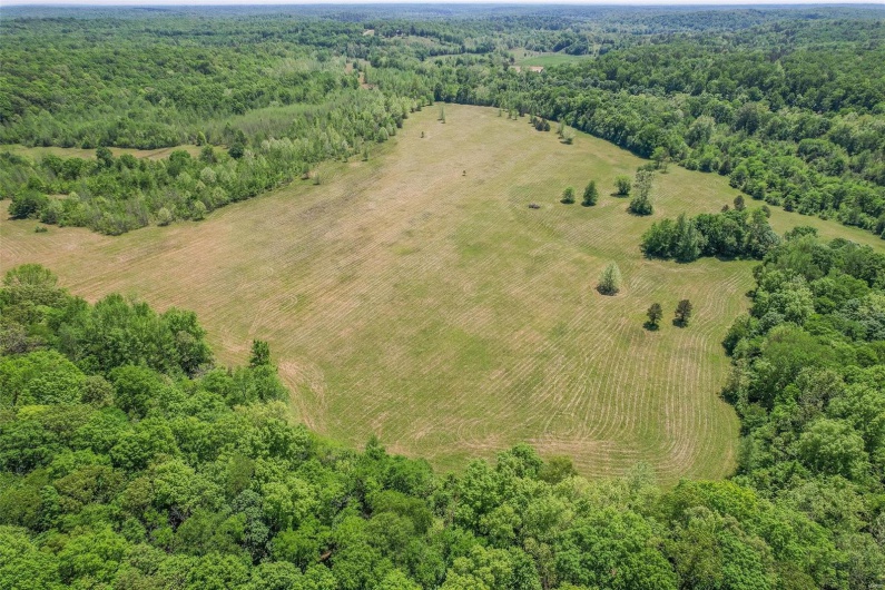 0 County Road 462, Poplar Bluff, Missouri 63901, ,Farm,For Sale,County Road 462,MAR23074231