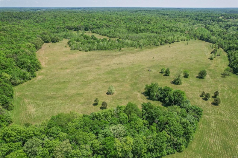 0 County Road 462, Poplar Bluff, Missouri 63901, ,Farm,For Sale,County Road 462,MAR23074231