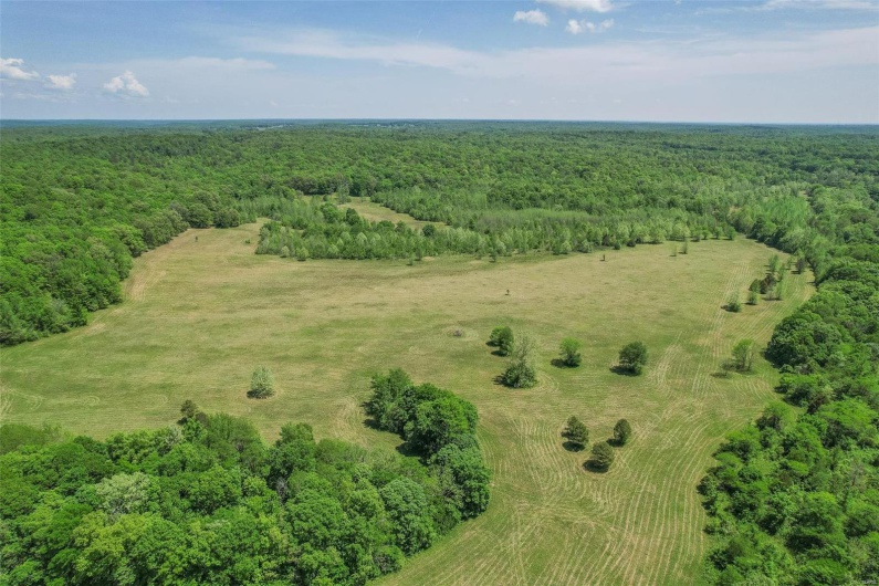 0 County Road 462, Poplar Bluff, Missouri 63901, ,Farm,For Sale,County Road 462,MAR23074231