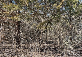 6517 Eagle Lane, French Village, Missouri 63036, ,Land,For Sale,Eagle,MAR24002989