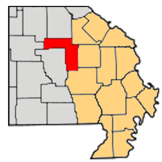 63650 Real Estate FOR SALE by Tracey Miller Iron County MO Top Realtor Near Me Vylla Low Credit Home Loans #573RealEstate #LIVELocalListings